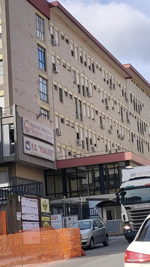 B&B Stadio 卡坦扎罗 外观 照片